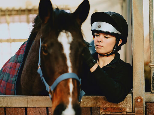 Animal and Equine